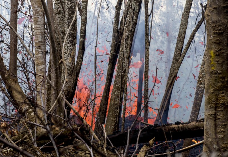 eruzione vulcano kilauea