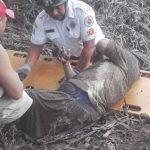 Violenta eruzione del Volcán de Fuego: decine di morti e feriti in Guatemala, ecco FOTO e VIDEO