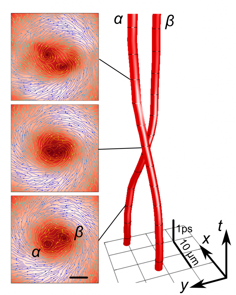 vortici quantizzati