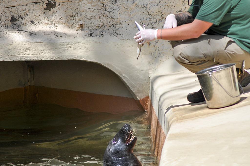 Bioparco di Roma