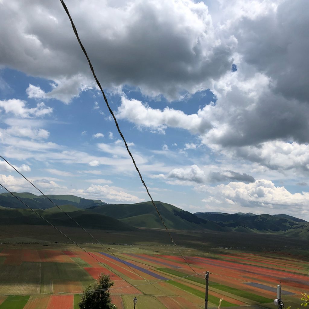 Castelluccio Norcia fioritura Pian Grande