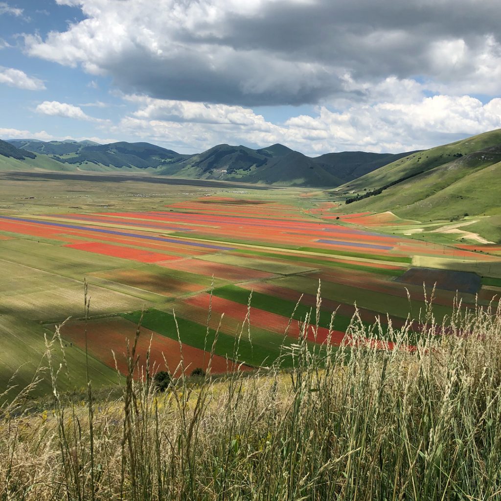 Castelluccio Norcia fioritura Pian Grande