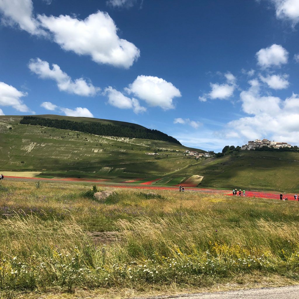 Castelluccio Norcia fioritura Pian Grande