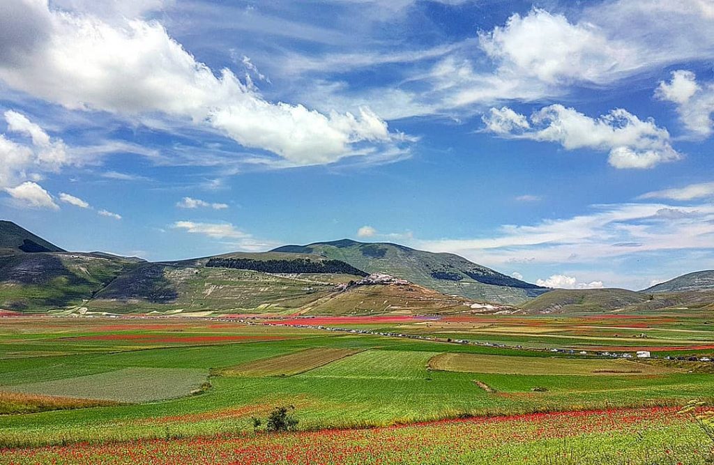 Castelluccio Norcia fioritura Pian Grande