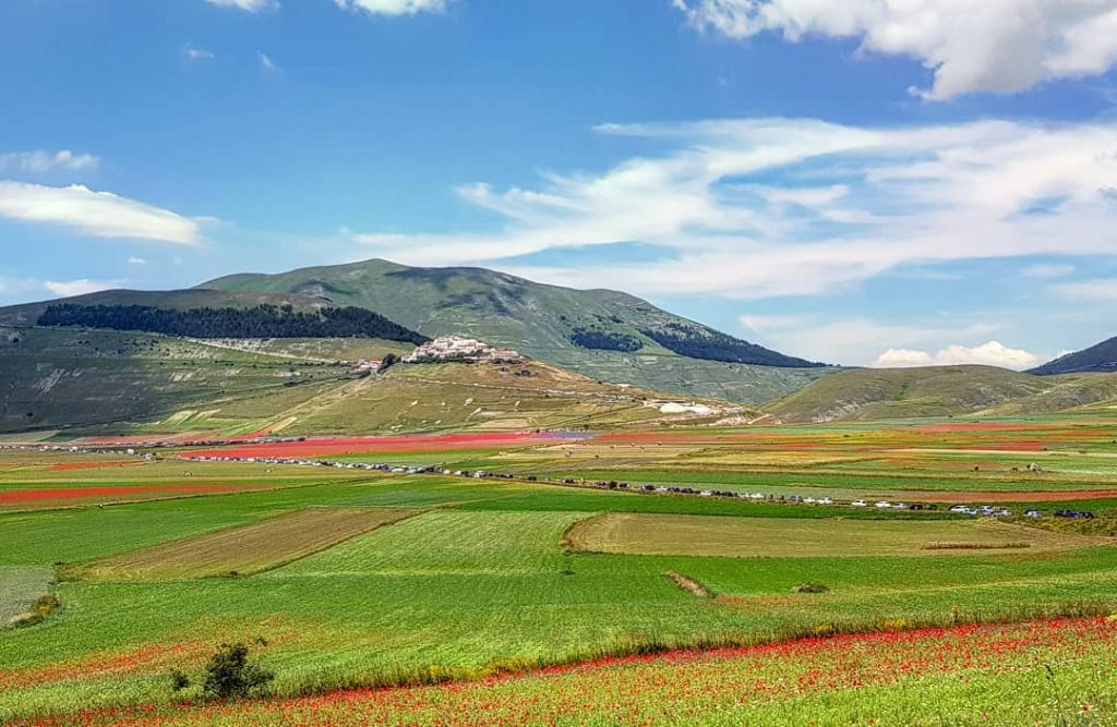 Castelluccio Norcia fioritura Pian Grande