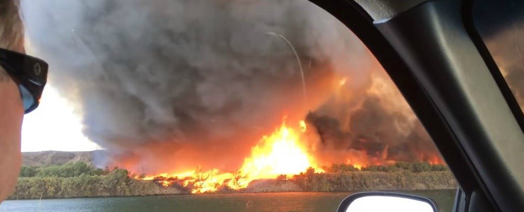 firenado california