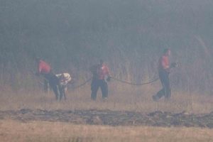 incendi londra