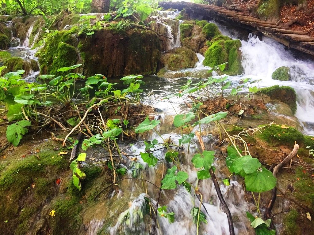 Parco nazionale dei laghi di Plitvice