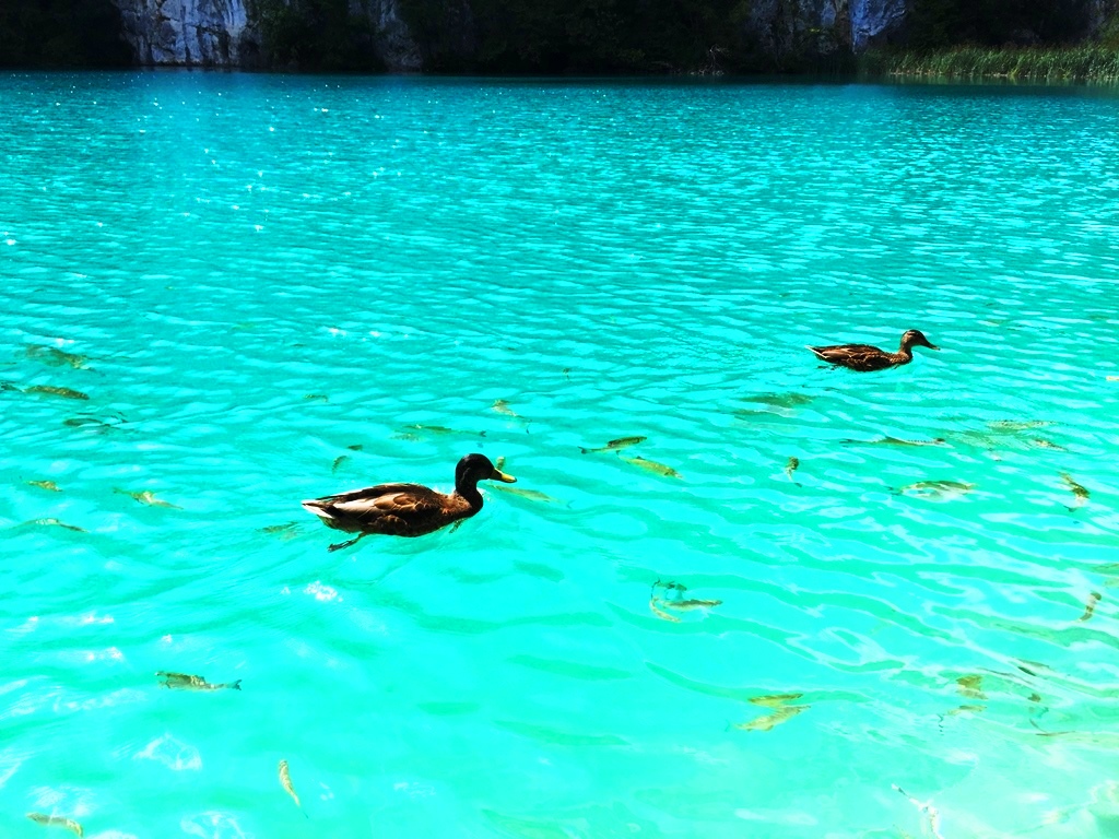 Parco nazionale dei laghi di Plitvice