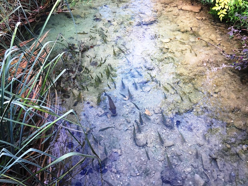 Parco nazionale dei laghi di Plitvice