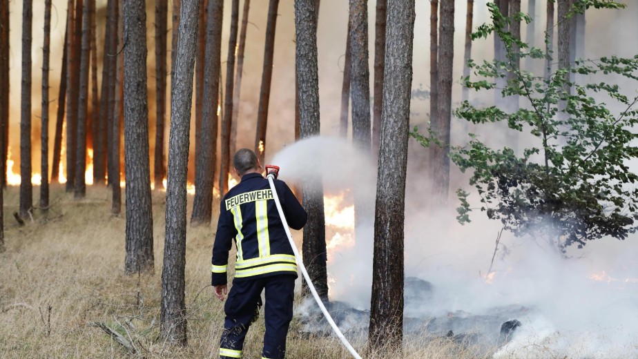 incendio Treuenbrietzen, Germania (1)