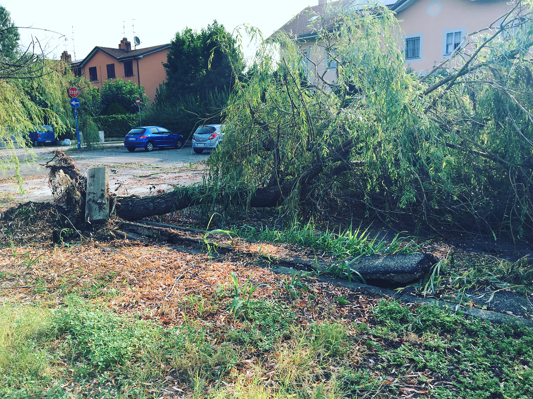 Maltempo Milano, Nubifragio E Vento Impetuoso A Segrate: Gravi Danni Al ...