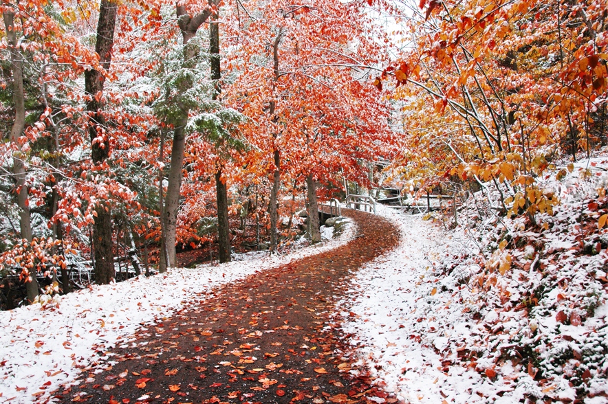 autunno neve