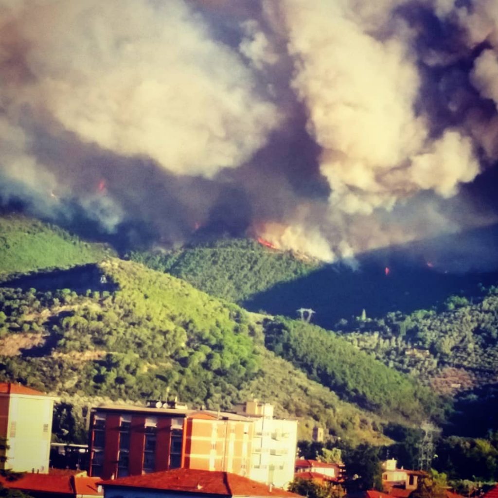 incendio monte serra