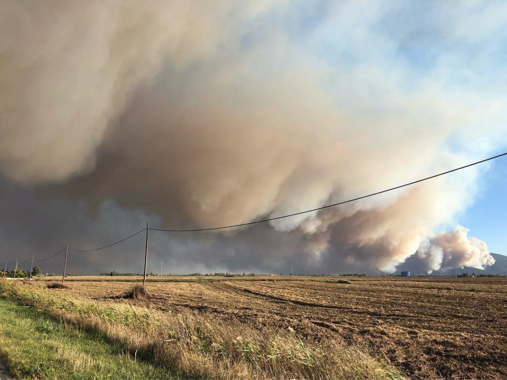 incendio monte serra