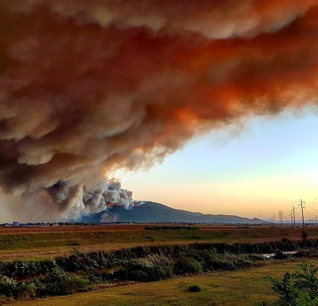 incendio monte serra