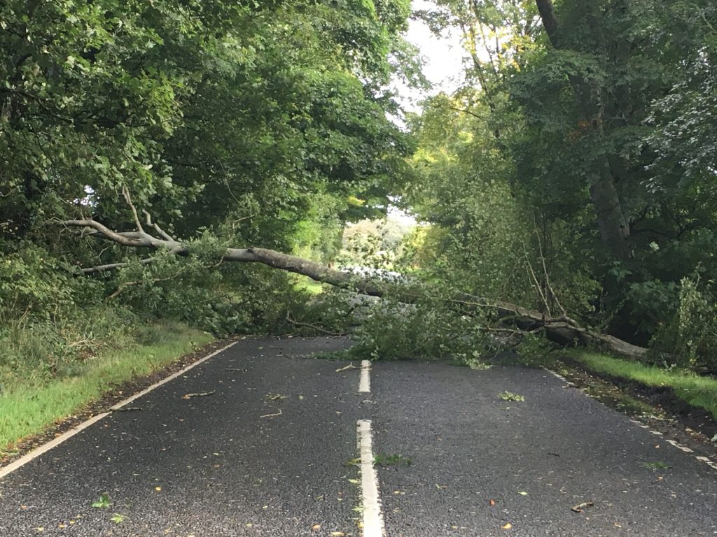 tempesta ali regno unito irlanda