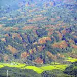 Violento terremoto in Giappone, un disastro provocato da enormi frane e liquefazione del suolo: stravolte le montagne dell’isola di Hokkaido [FOTO]