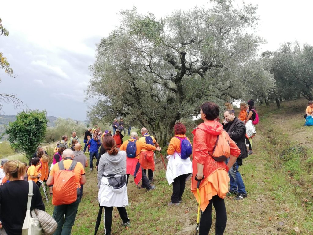 Camminata tra gli Olivi Andria