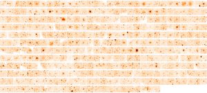 Xmm-Newton esa