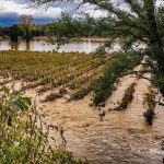 Disastrosa alluvione nel Sud della Francia: 10 morti, 1.000 evacuati a Carcassonne [GALLERY]