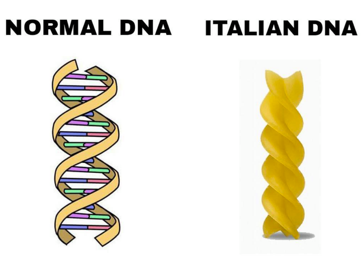 pasta dna italiani