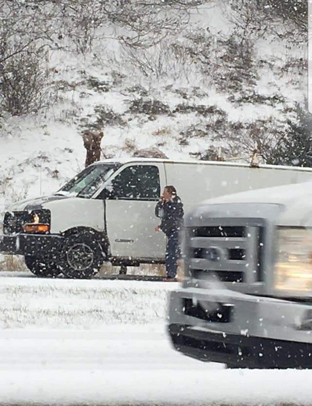 cammello neve usa