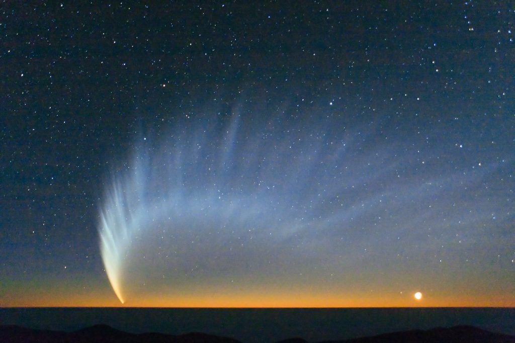 cometa mcnaught