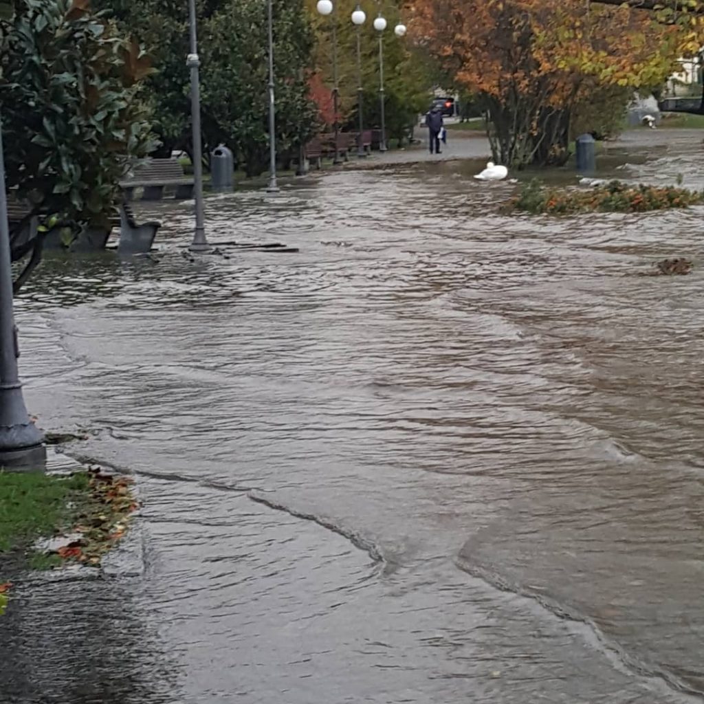 lago maggiore