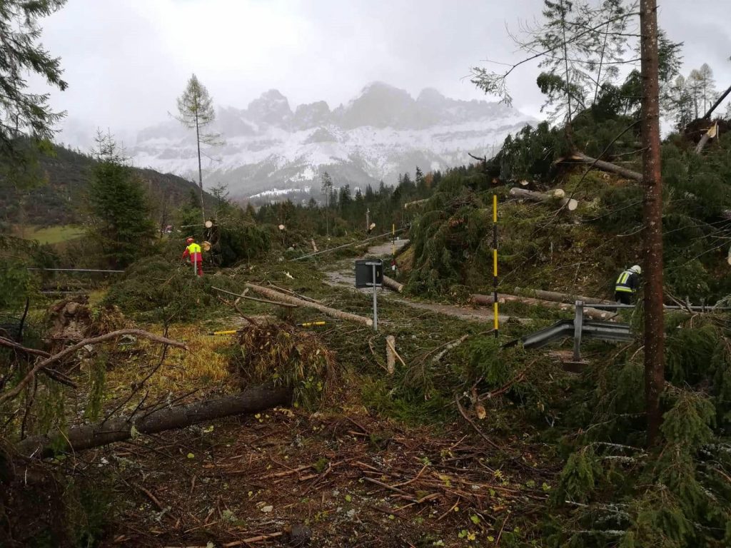 maltempo trentino alberi abbattuti