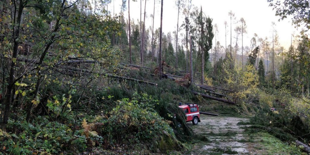 maltempo trentino alberi abbattuti