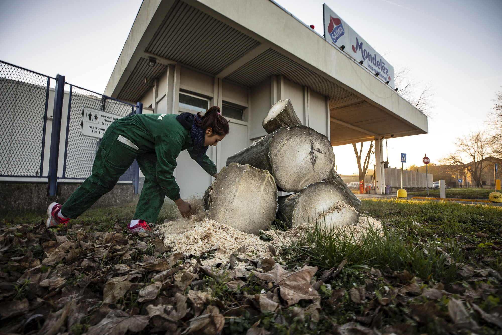 Greenpeace olio di palma