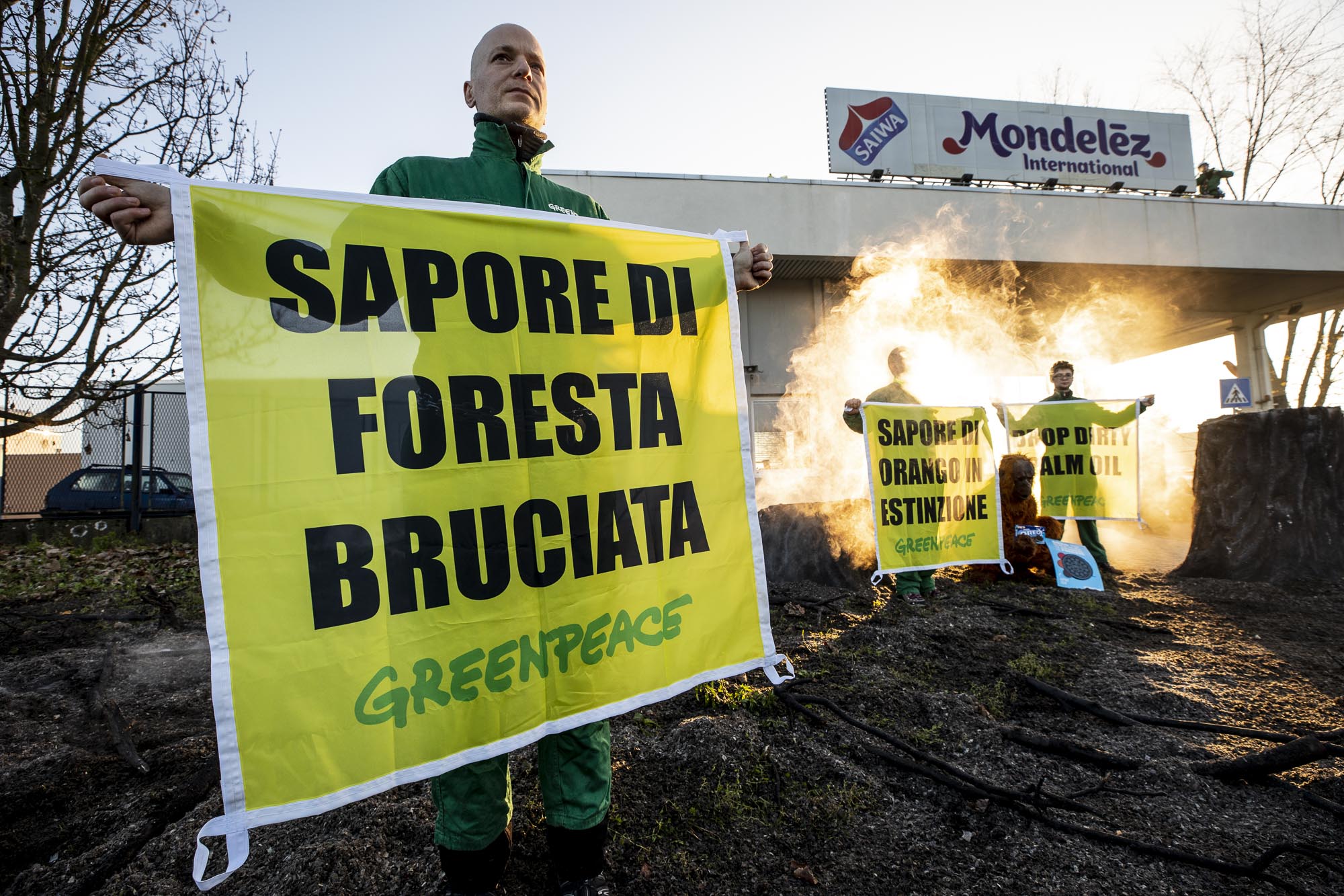 Greenpeace olio di palma