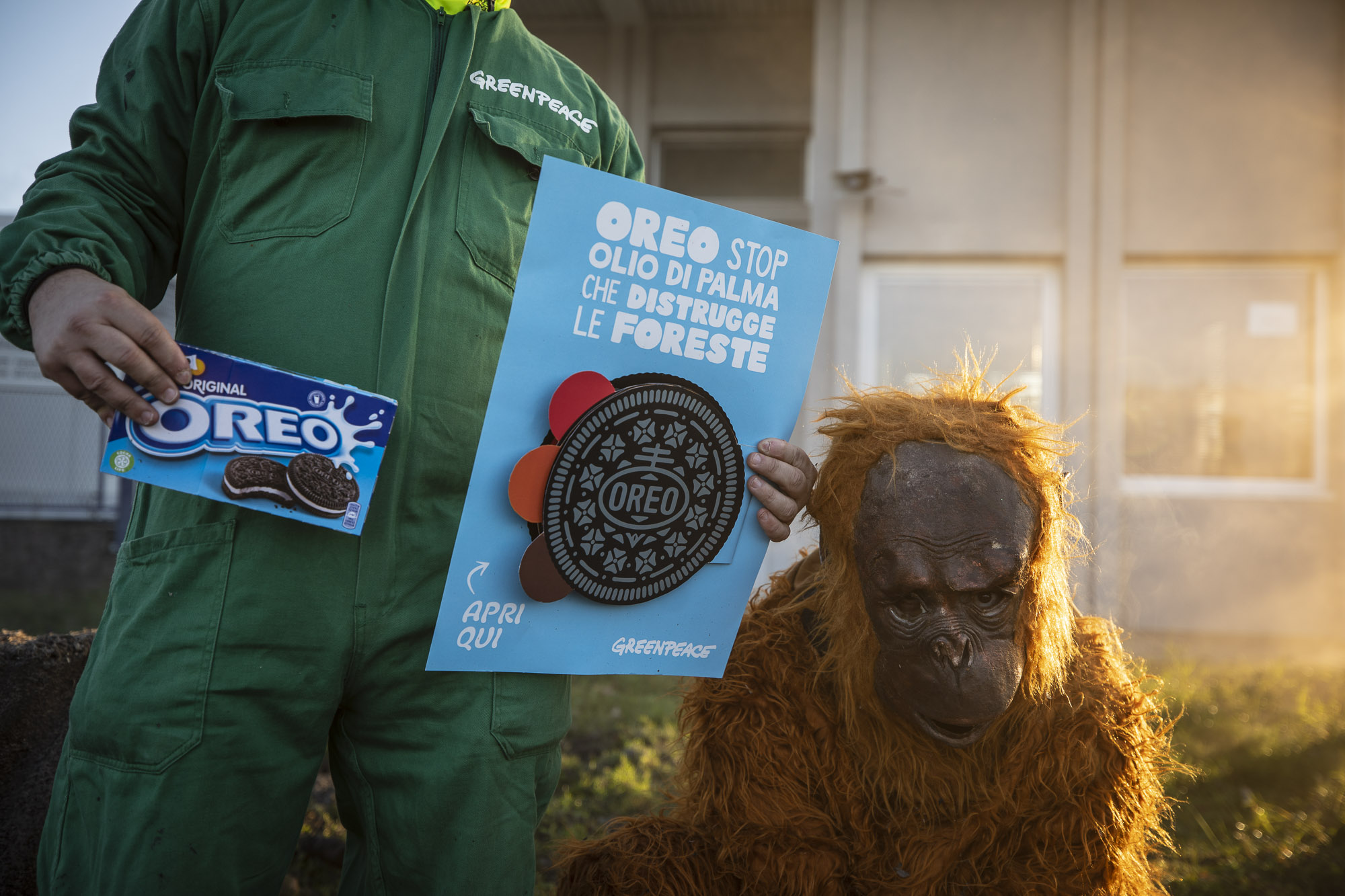 Greenpeace olio di palma