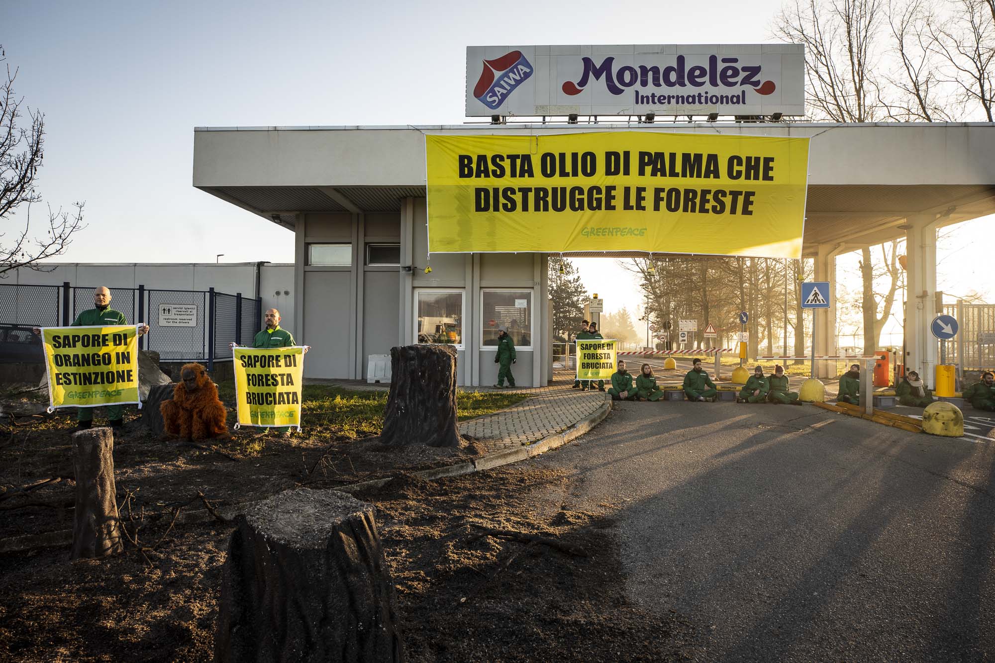 Greenpeace olio di palma