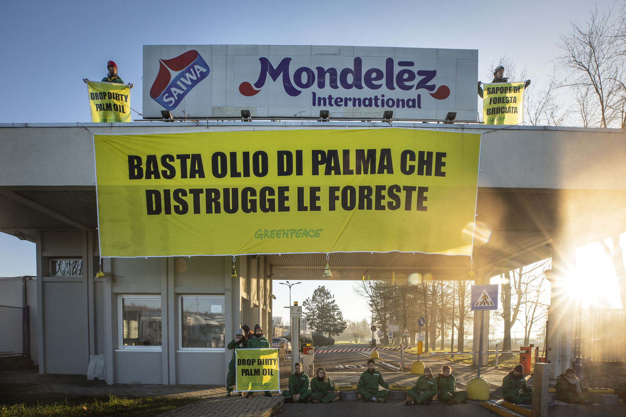 Greenpeace olio di palma