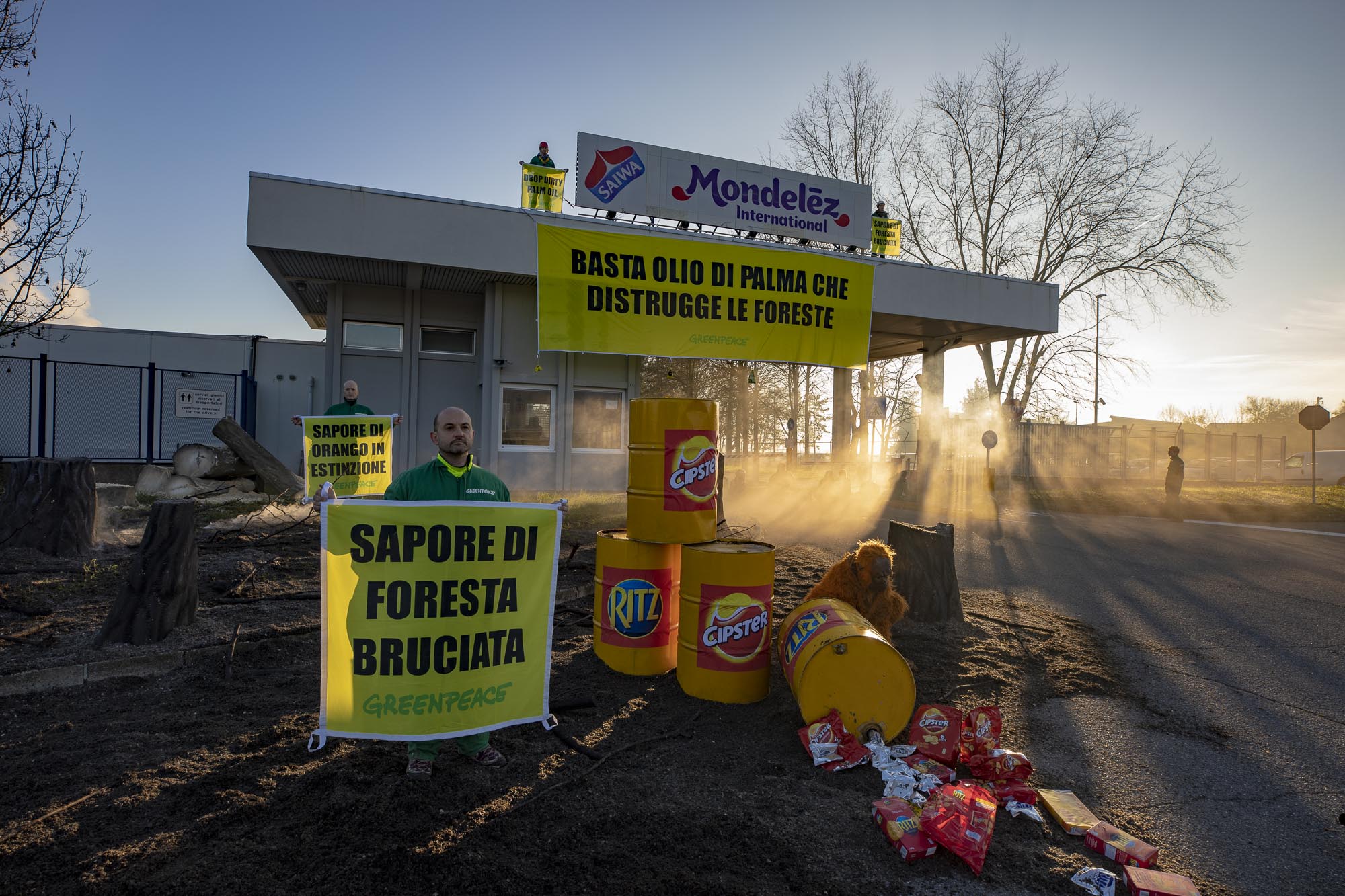 Greenpeace olio di palma