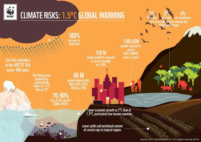 wwf cop24