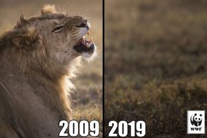 #10yearschallenge leoni