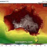 Ondata di calore senza precedenti in Australia, strage di cavalli selvaggi: “Sono morti per il caldo e la disidratazione” [FOTO SHOCK]