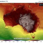 Ondata di calore senza precedenti in Australia, strage di cavalli selvaggi: “Sono morti per il caldo e la disidratazione” [FOTO SHOCK]