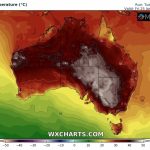 Ondata di calore senza precedenti in Australia, strage di cavalli selvaggi: “Sono morti per il caldo e la disidratazione” [FOTO SHOCK]