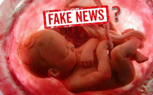 legge aborto new york fake news