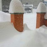 Ciclone Polare, situazione critica in Sardegna: zone interne sommerse dalla neve, collisione al porto di Olbia [FOTO LIVE]