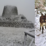 Ciclone Polare, situazione critica in Sardegna: zone interne sommerse dalla neve, collisione al porto di Olbia [FOTO LIVE]