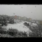 Ciclone Polare, situazione critica in Sardegna: zone interne sommerse dalla neve, collisione al porto di Olbia [FOTO LIVE]