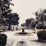 Ciclone Polare, situazione critica in Sardegna: zone interne sommerse dalla neve, collisione al porto di Olbia [FOTO LIVE]