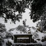 Ciclone Polare, situazione critica in Sardegna: zone interne sommerse dalla neve, collisione al porto di Olbia [FOTO LIVE]