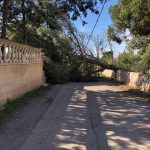 Forte vento in Puglia, freddo e raffiche di tramontana a 85km/h nel Salento: danni a Manduria, alberi sradicati [FOTO]