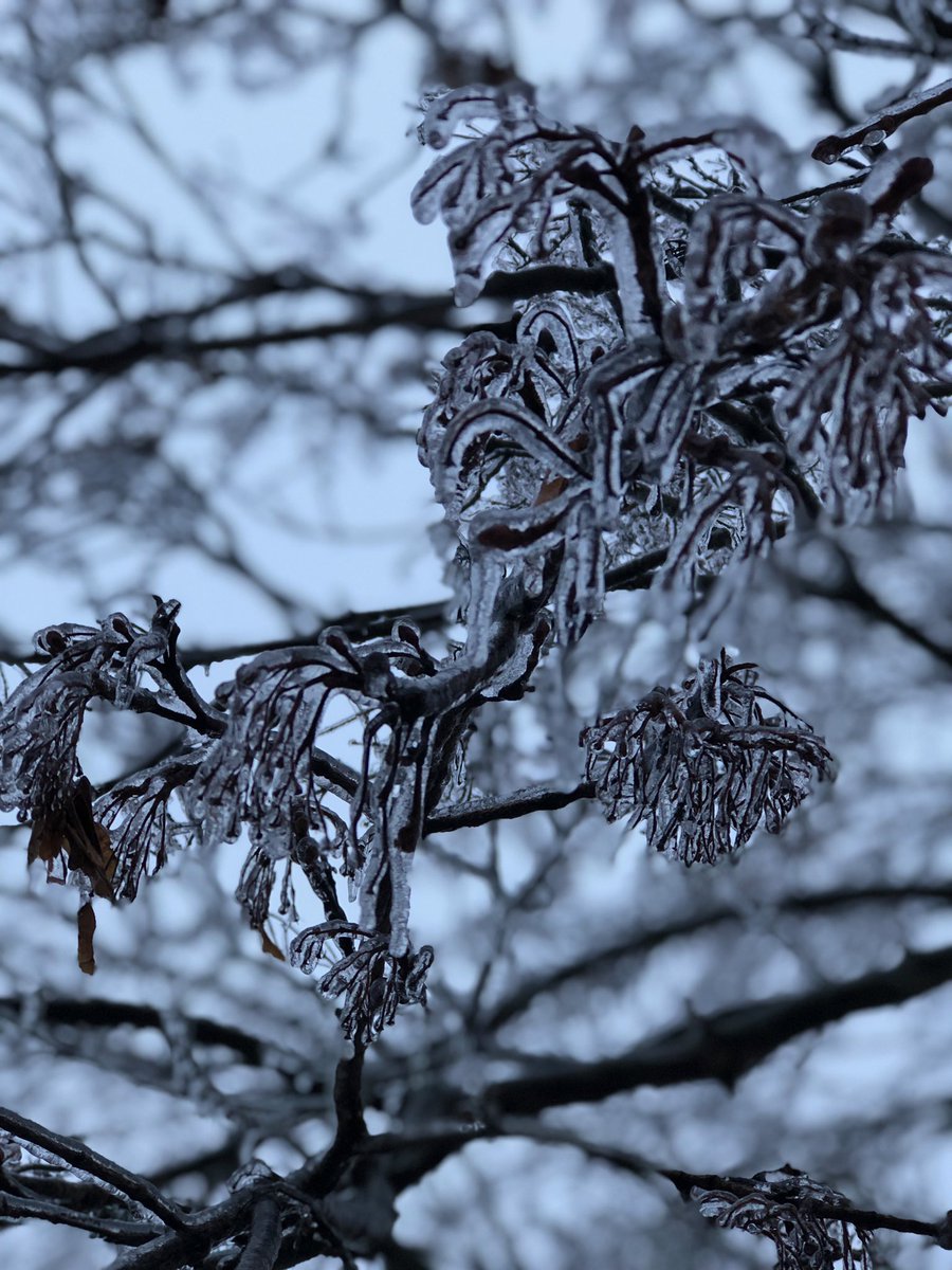 neve ghiaccio usa